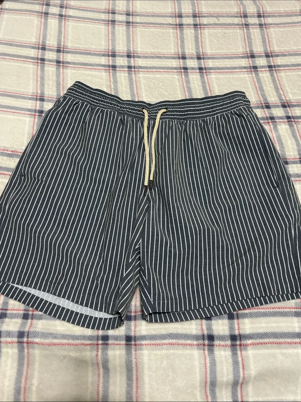 Fair Harbor Bayberry Swim Trunks
